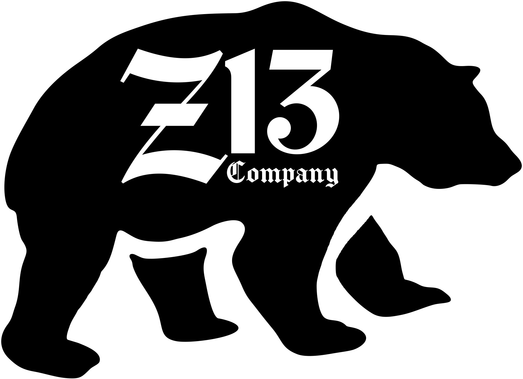 Z13 Company